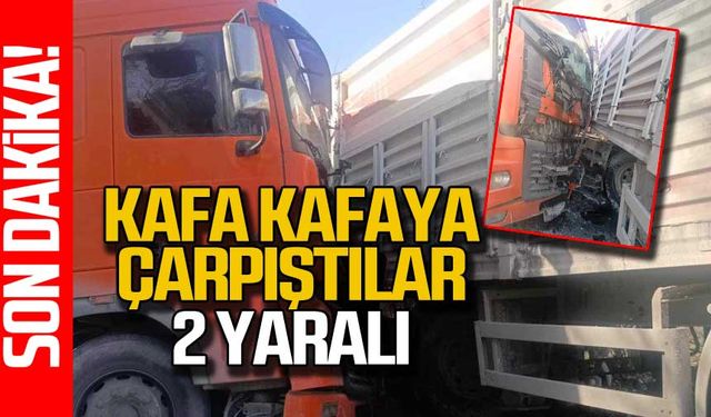 Zonguldak Alaplı’da iki tır kafa kafaya çarpıştı! 2 yaralı