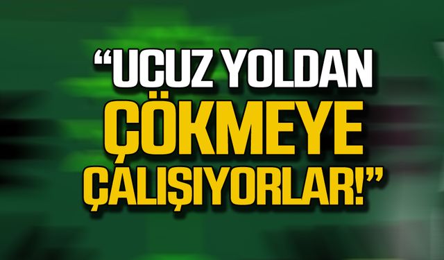 Züleyha Nur "Ucuz Yoldan Çökmeye Çalışıyorlar!"