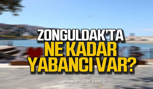 Zonguldak'ta yabancı nüfusu azaldı