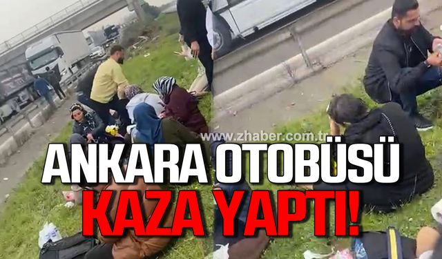 İzmit- Ankara otobüsü kaza yaptı! 6 yaralı!
