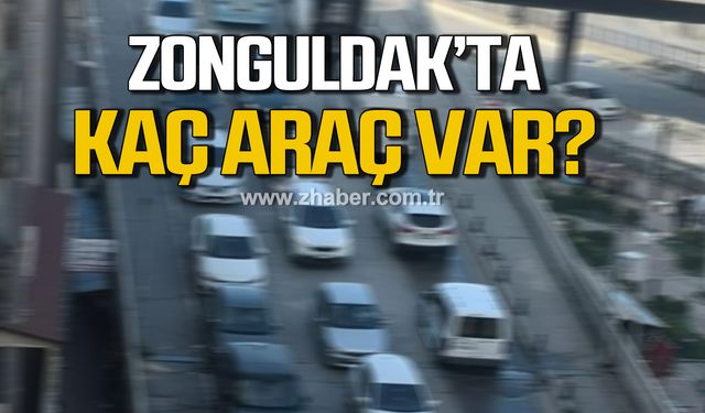 Zonguldak’ta trafiğe kayıtlı kaç araç var?
