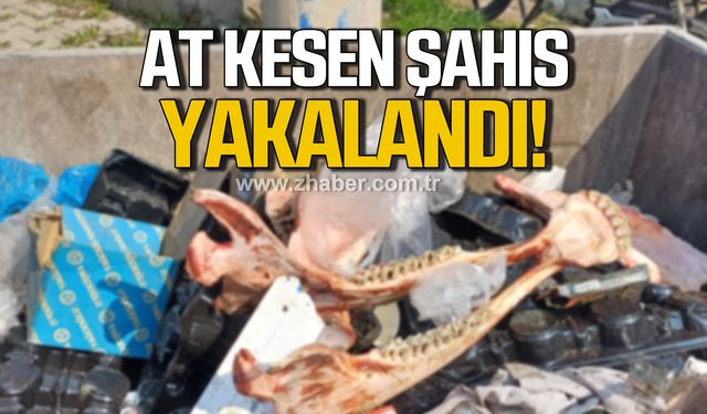 Düzce'de at kesen şahıs yakalandı!