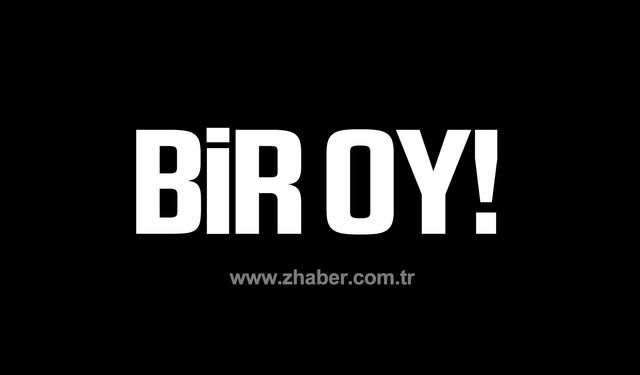 Bir oy!