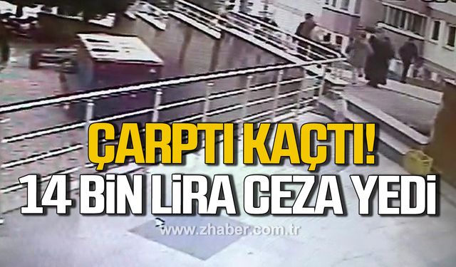 Karabük'te sokak kedilerine çarpıp kaçan sürücülere 14 bin 432 lira ceza kesildi!