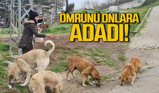 Zonguldaklı Funda Bıyıklı ömrünü sokak hayvanlarına adadı!