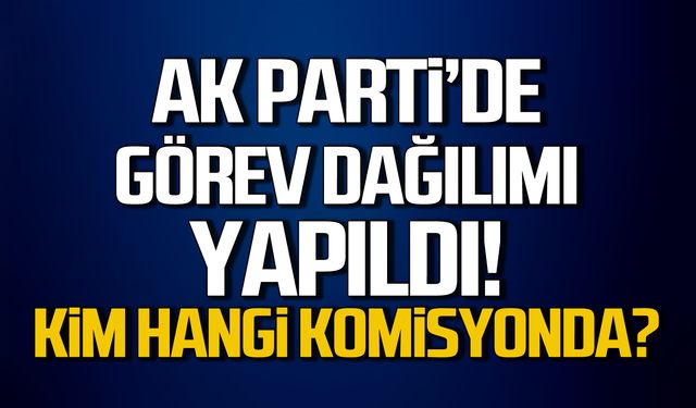 Ak Parti'de görev dağılımı yapıldı! Kim hangi komisyonda?