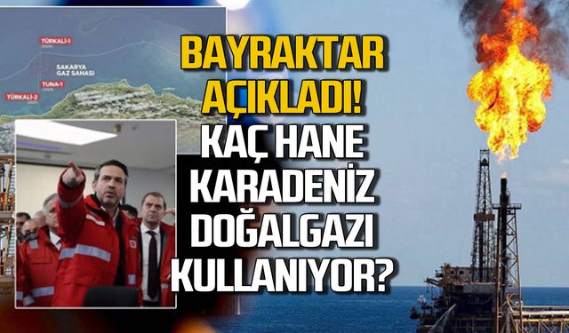 Türkiye'de kaç hane Karadeniz doğalgazı kullanıyor?