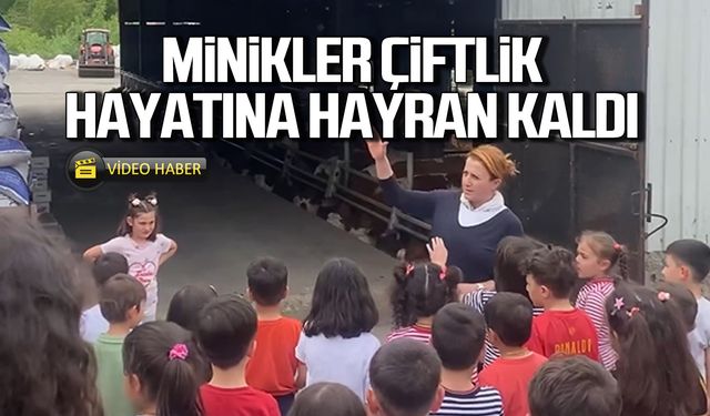 Minikler çiftlik hayatına hayran kaldı!