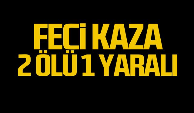 Bayram yolunda feci kaza! 2 ölü 1 yaralı