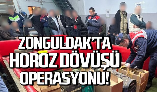 Zonguldak'ta horoz dövüşü operasyonu! 41 kişi yakalandı!