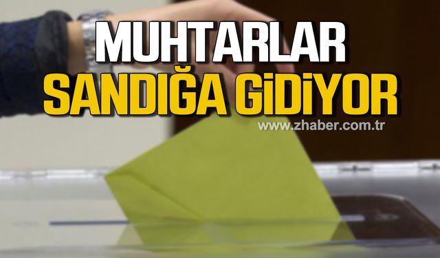 Devrek'te muhtarlar sandığa gidiyor!