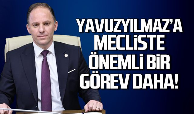 Deniz Yavuzyılmaz’a TBMM'de bir önemli görev daha