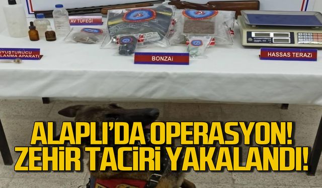 Alaplı'da operasyon! Zehir taciri yakalandı!