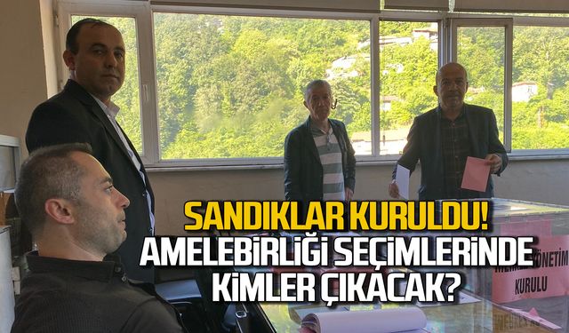 Sandıklar kuruldu! Amelebirliği seçimleri başladı!