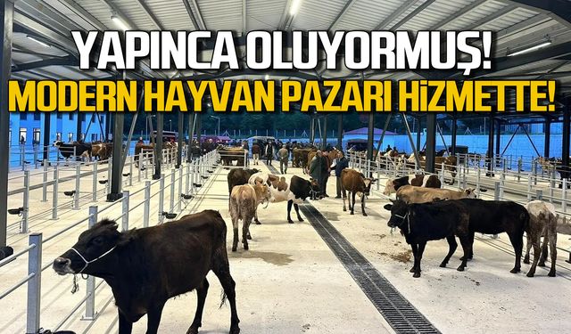 Yapınca oluyormuş! Bölgenin en modern hayvan pazarı açıldı!