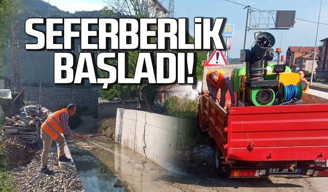 Devrek'te sivrisinek seferberliği başladı!