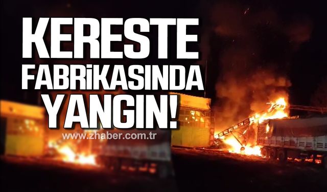 Kastamonu’da kereste fabrikasında yangın!