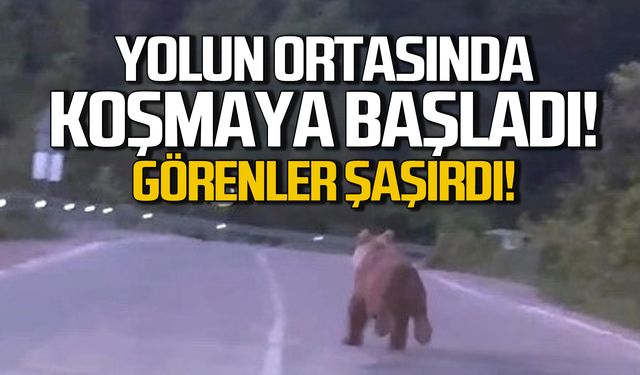 Yol ortasında koşmaya başladı! Sürücüler şaşırdı!