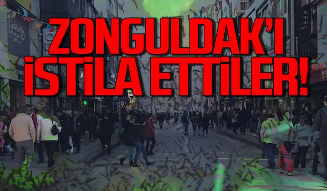 Zonguldak’ı istila ettiler!