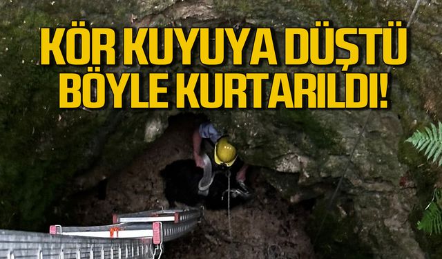 Kör kuyuya düştü böyle kurtarıldı!