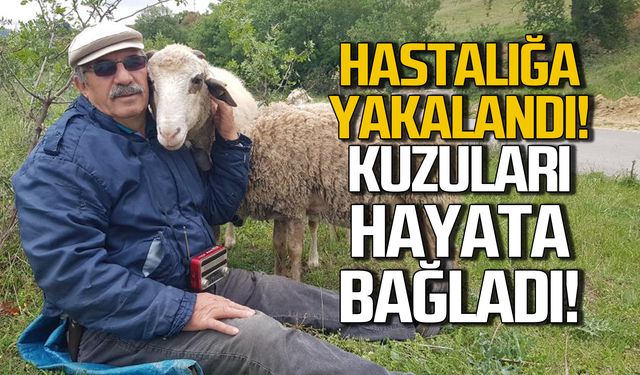 Hastalığa yakalandı! Kuzuları hayata bağladı!