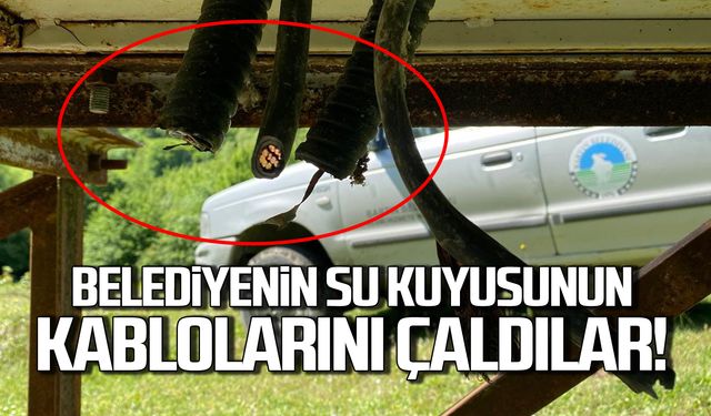 Bu kadar da olmaz! Belediyenin kablolarını çaldılar!