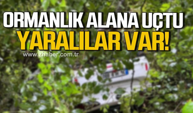 Bartın'da ormanlık alana uçtu! 3 yaralı!