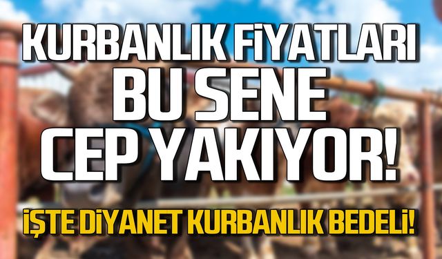 Diyanet Kurban bedeli belli oldu; Diyanet yurt dışı, yurt içi kurbanlık fiyatları 2024