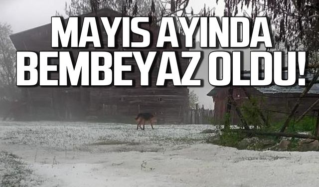 Önce sağanak ardından dolu! Mayıs ayında bembeyaz oldu!