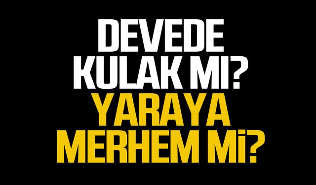 Devede kulak mı? Yaraya merhem mi?