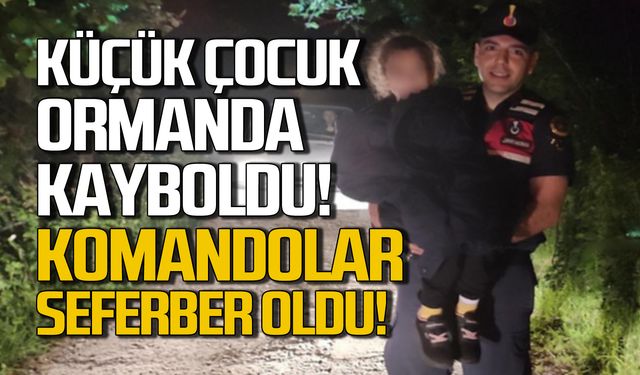 Küçük çocuk ormanda kayboldu! Jandarma seferber oldu!