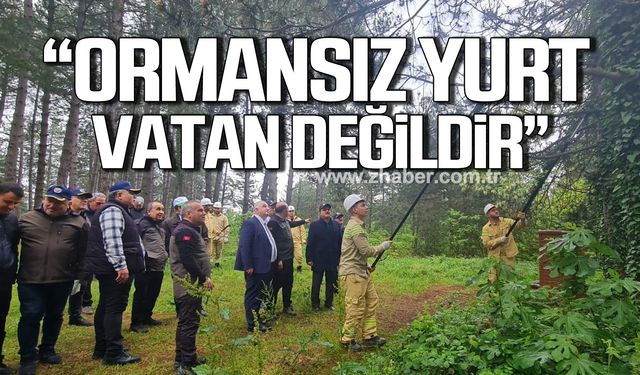 Zonguldak’ta "Orman Benim" etkinliğinde bir araya geldiler!