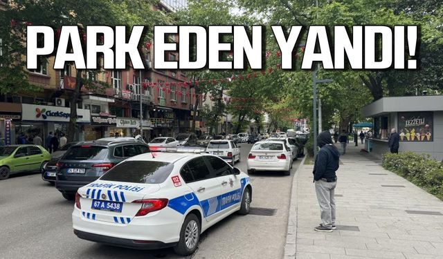 Sürücüler dikkat! Park eden yandı!