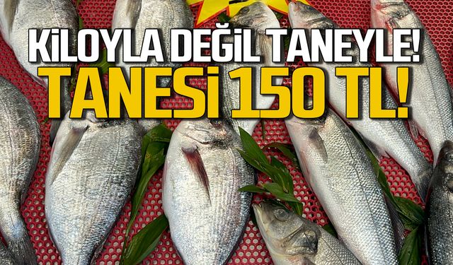 Kiloyla değil taneyle! Tanesi 150 TL!