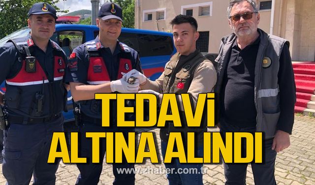 Zonguldak'ta yaralı çobanaldatan kuşu tedavi altına alındı!