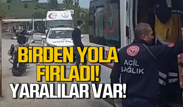 Birden yola fırladı! Yaralılar var!