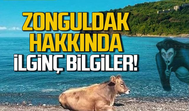 Zonguldak hakkında ilginç bilgiler!