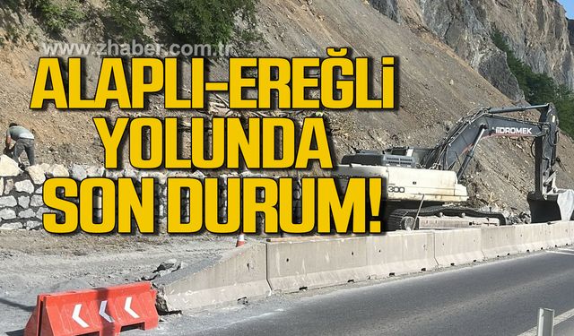 Alaplı- Ereğli yolunda çalışmalar başladı!