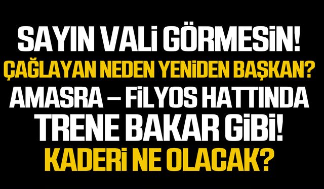 Sayın Vali görmesin!