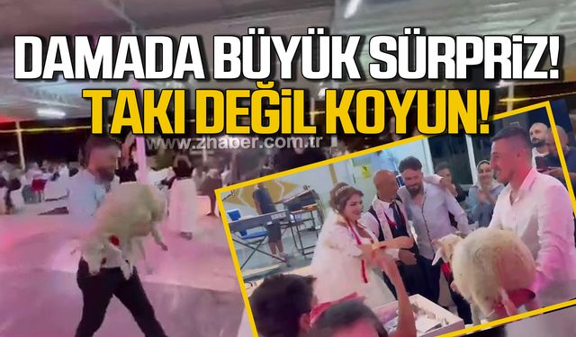 Düğünde damada büyük sürpriz! Takı yerine koyun hediye ettiler!