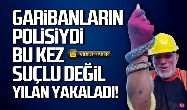 Garibanların polisi bu kez suçlu değil yılan yakaladı!