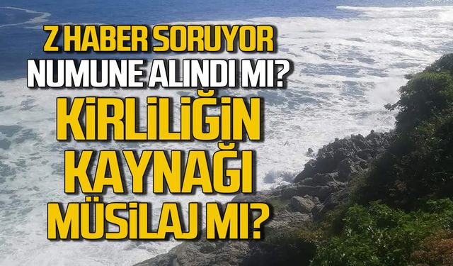 Kirliliğin nedeni müsilaj mı? Karadeniz'den numune alındı mı?