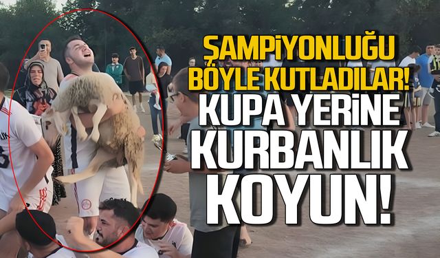 Şampiyona kupa yerine kurbanlık koyun!