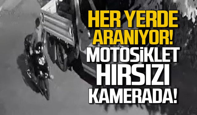 Motosiklet hırsızı kamerada!