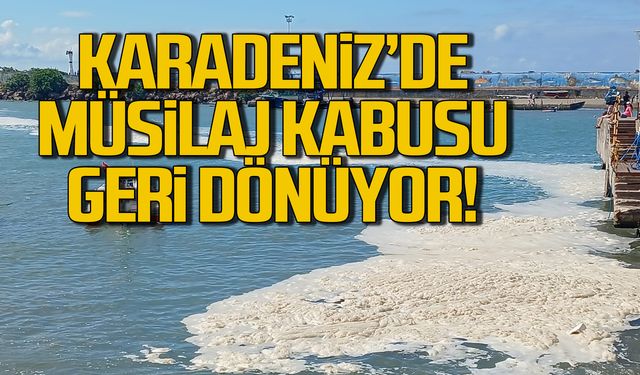 Karadeniz'de müsilaj kabusu geri dönüyor!