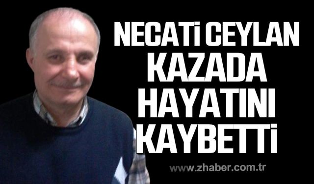 Karabük'te Necati Ceylan kazada hayatını kaybetti!