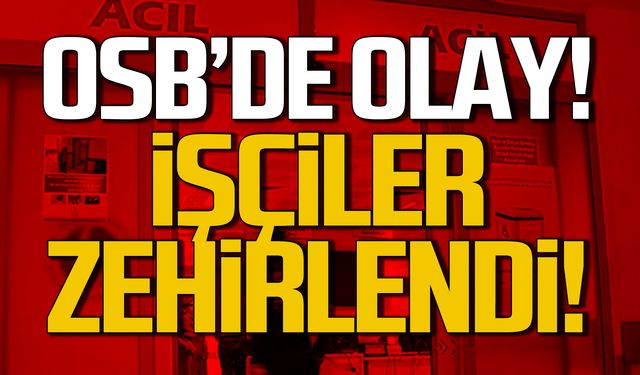 Çaycuma OSB'de olay! İşçiler zehirlendi!