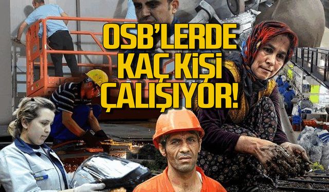 8 bin kişilik istihdam! OSB'lerde kaç kişi çalışıyor?