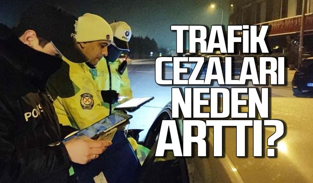 Milletvekili sordu! Cezalar neden artıyor?