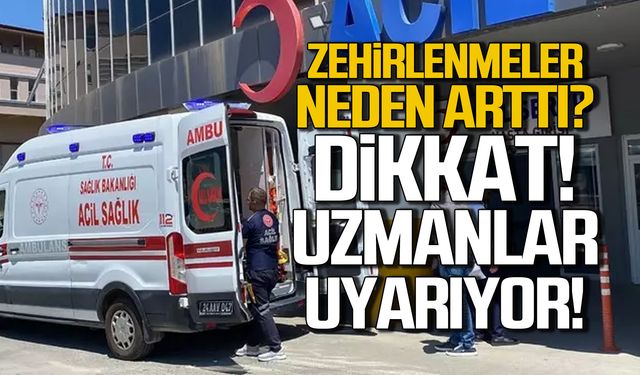 Havalar ısındı zehirlenmeler arttı! Uzmanlar uyarıyor!